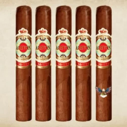 Ashton Symmetry Robusto