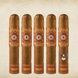 Perdomo Habano Bourbon Barrel-Aged Sun Grown Robusto