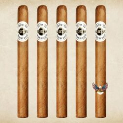 Ashton Classic 898