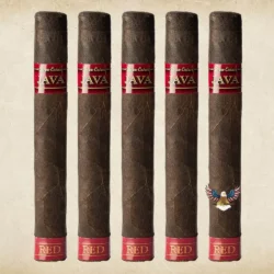 Rocky Patel Java Red Robusto