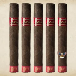 Rocky Patel Java Red Toro